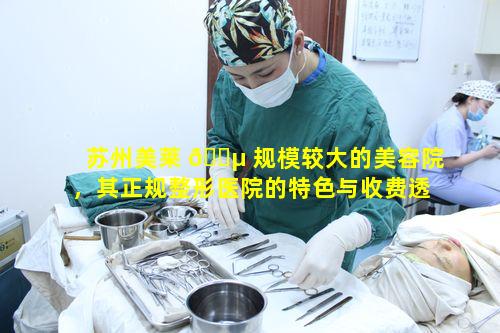 苏州美莱 🐵 规模较大的美容院，其正规整形医院的特色与收费透明性怎样